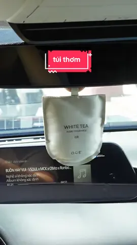 Mấy cái túi này thơm sang, mùi nhẹ, không bị gắt | Túi thơm OCE | Nhân check #nhancheck #review 