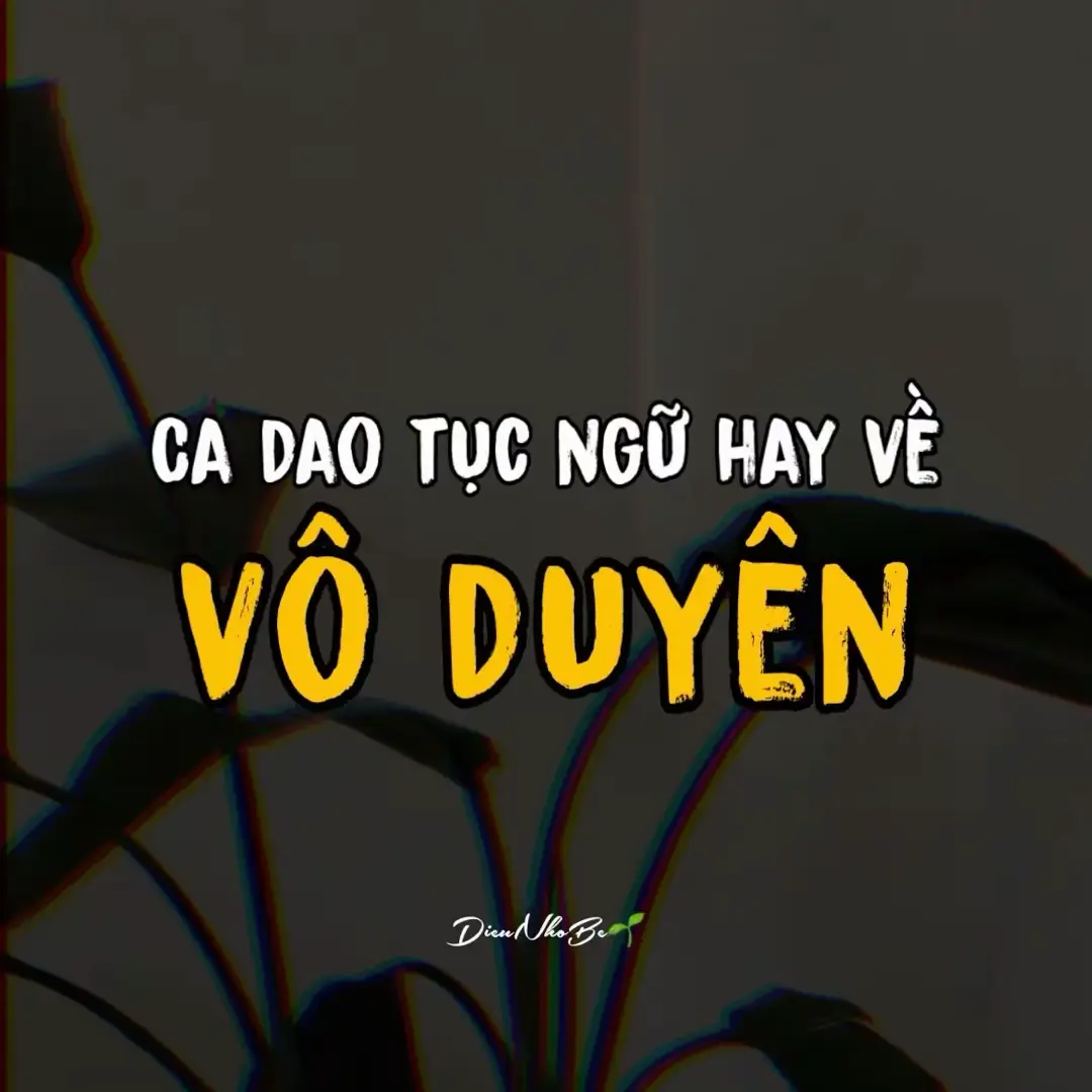 #cadaotucnguvietnam 