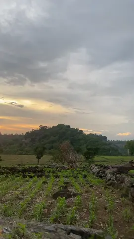 Info kata2 nya#sanset#jeneponto 