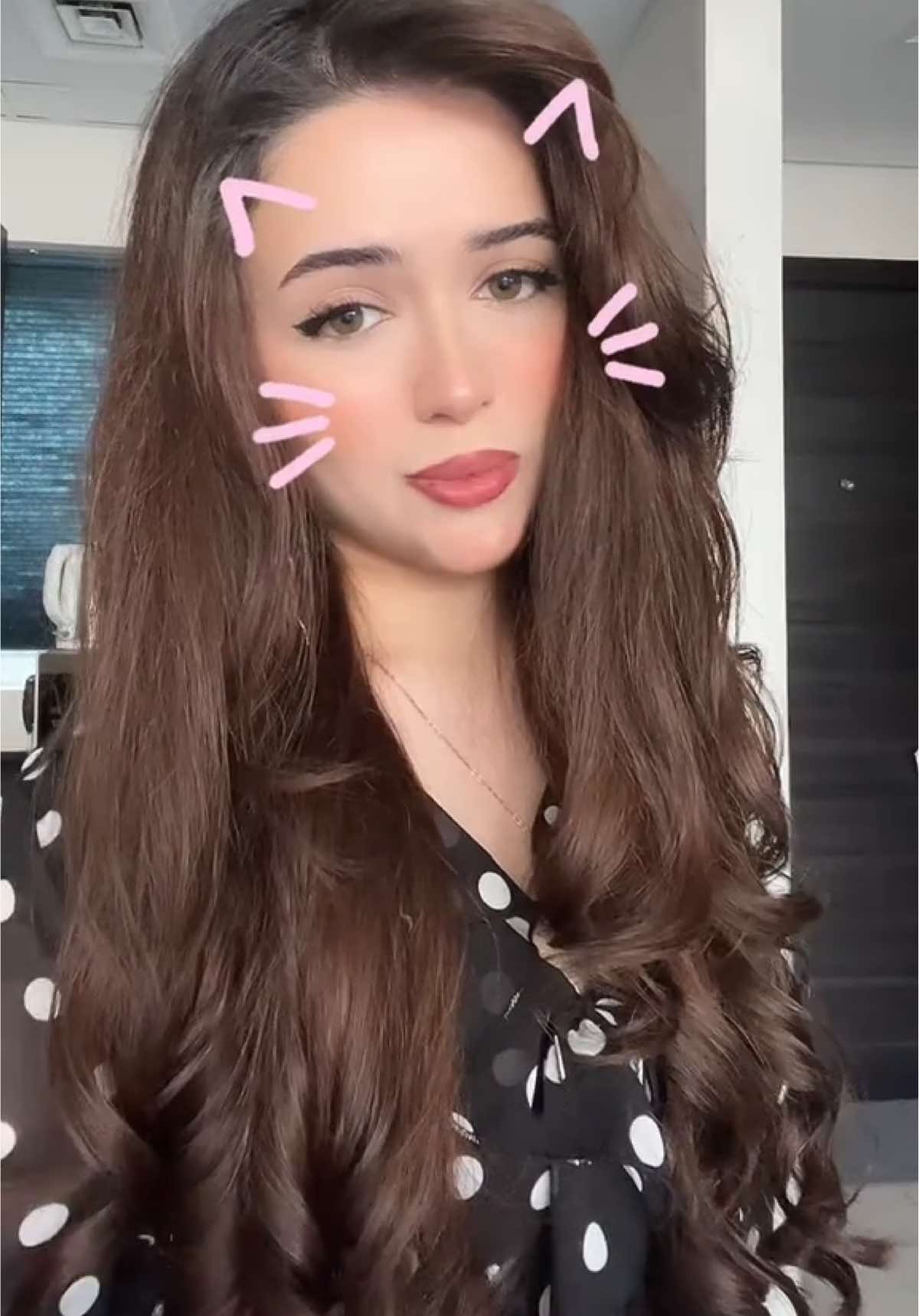 مياو مياو 🐱