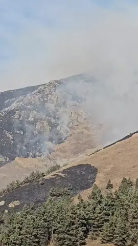 Դիլիջանում հրդեհն ընդլայնվում է. նոր կադրեր