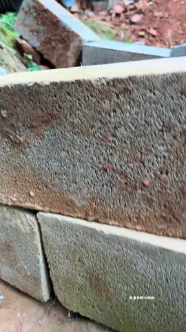 #dog #cutedog #dogmom 