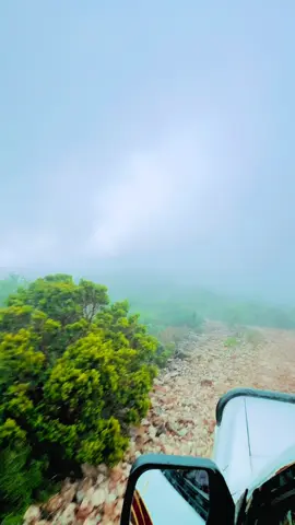 jawigano roobna ku helo kawaran 🌲#calmadow #sanaag #caarif 