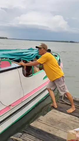 sb zerina #fypageシ #fyppppppppppppppppppppppp #speddboat @daengtommy88 @fathir_pratama01 