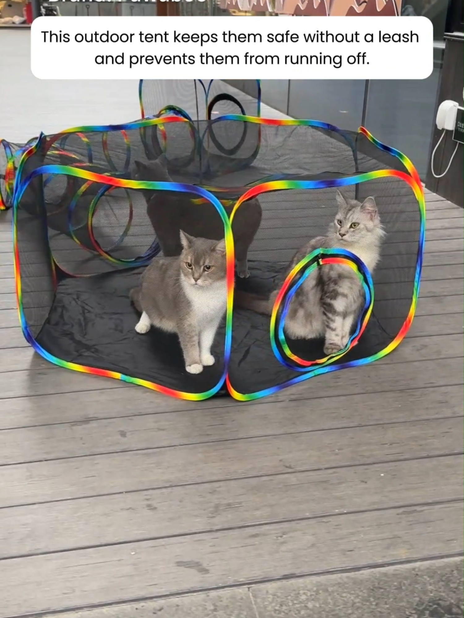 POV: No balcony? No problem — this cat tent can connect right to the outdoors#cattent #outdoortent #catios #cat #foryou