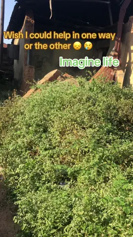 Learn to appreciate life in any situation, you’re 35x better than someone  @Omoboriowo Akande  @Ọ̀ T Ọ̀ L Ó R Ì N🚶🏿‍♂️  @Seun pizzle @Olamidé  @Omoba South Florida ✍🏽   #life #help #horlance✅ 