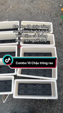 Trồng rau ở nhà ăn vừa tiết kiệm vừa an toàn với combo 10 chậu nhựa #chaucaycanh #chaucay #chautrongrau #chaunhuatrongcay #chaunhuatrongcay 