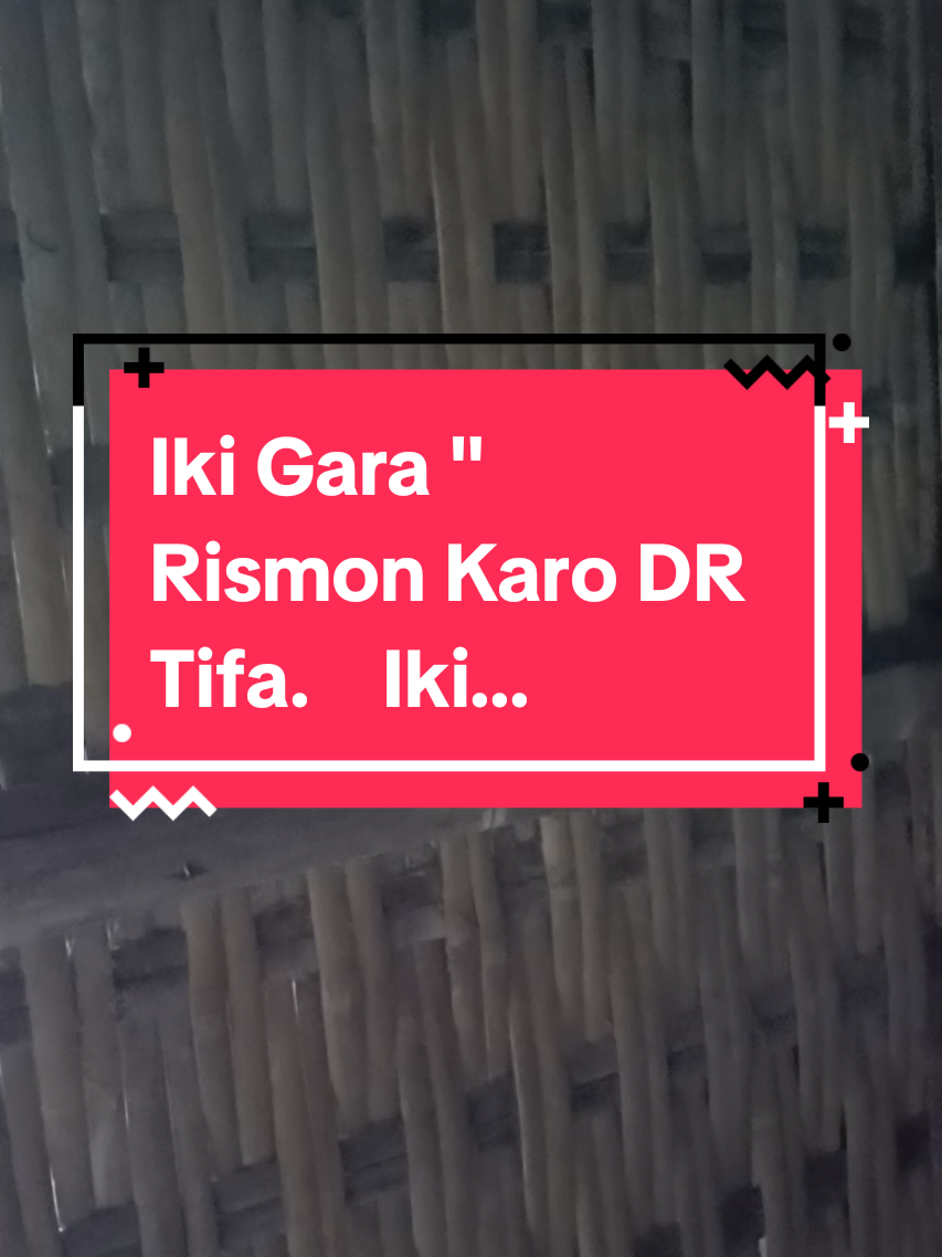 Ayam ku Ampe Ikut Setres Gara gara Rismon dan Dr Tifa...  #roypanci  #ayamwalik  #rismonsianipar  #drTifa  #ayam 