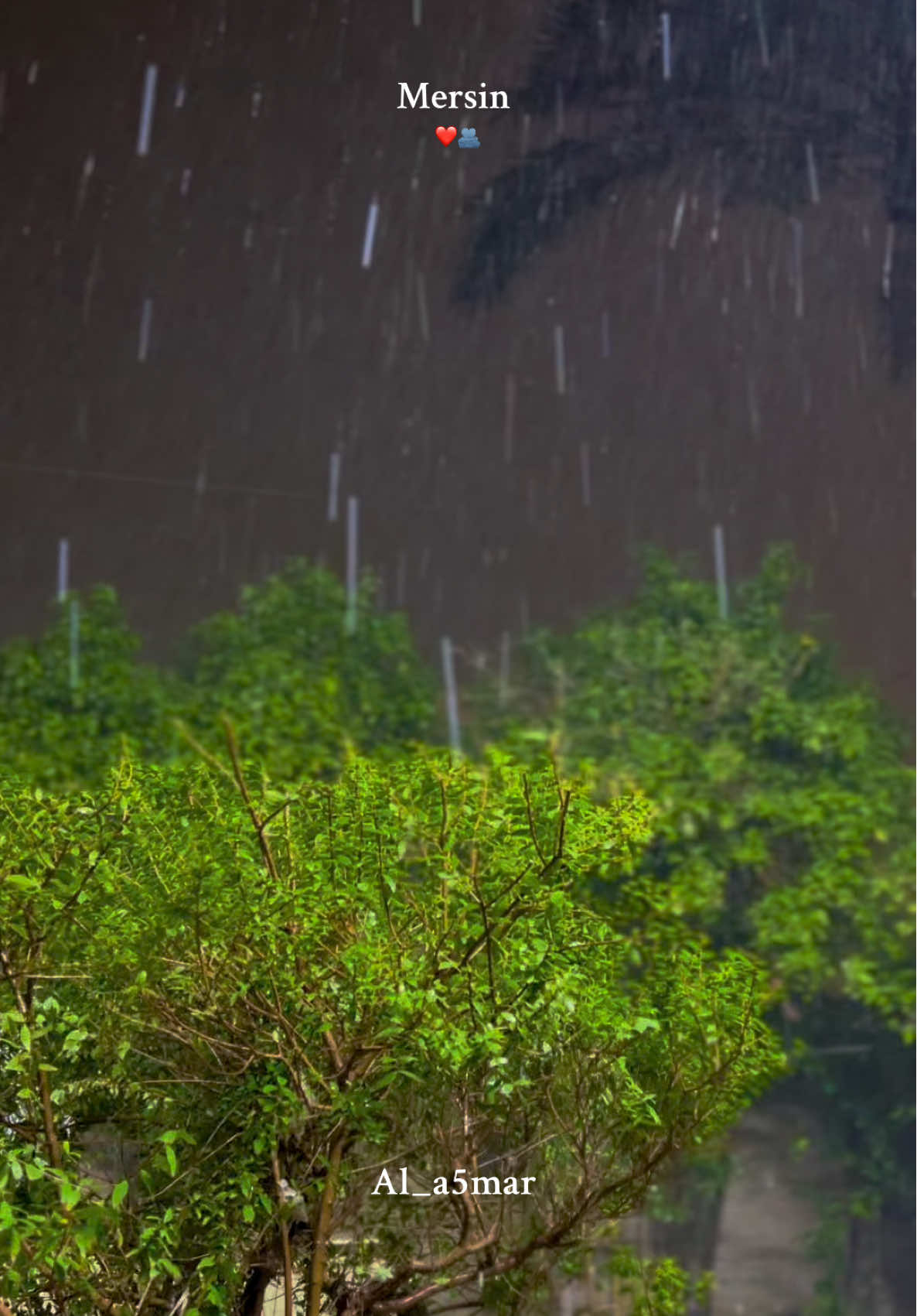 يا ريت الي جاب المطر يجيبك معاه ❤️🫂
