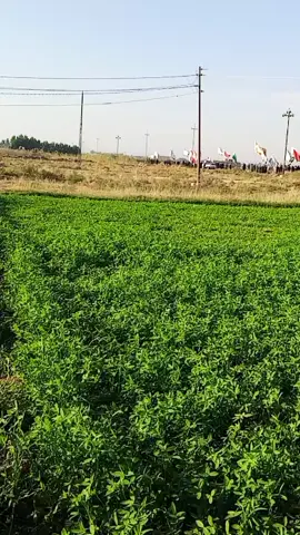 #تشيع الحاج أبو حسام الشيخ حسين ال فرج ال رداد 