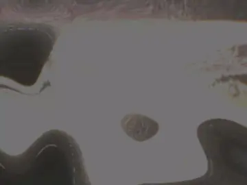 Gulabi Joori main 😩🕊️❤️ #foryoupage #lyrics #sindhi #bughiosahab #viral 