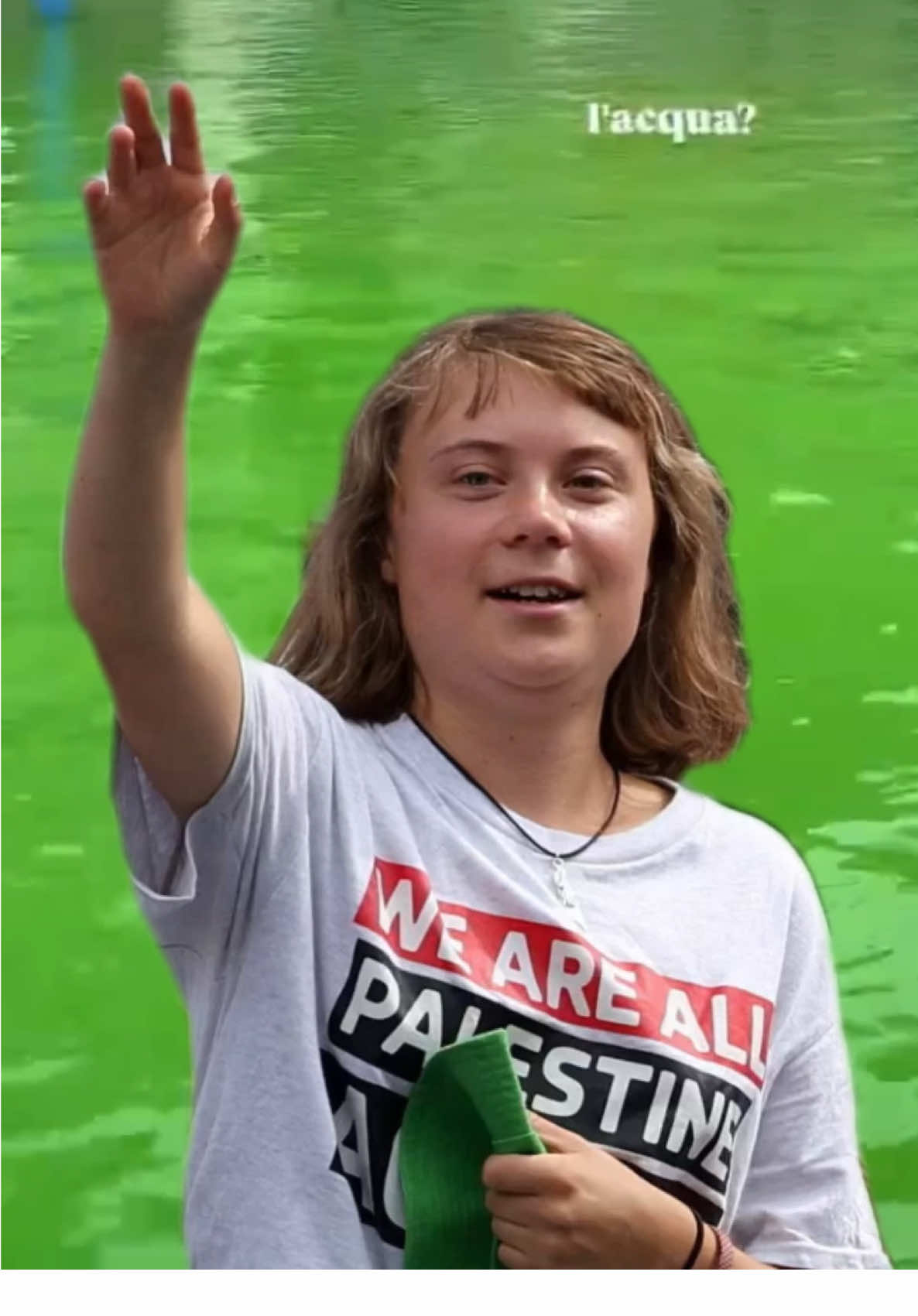 הרשויות באיטליה אסרו על הפעילה החברתית גרטה טונברג להיכנס לעיר ונציה למשך 48 שעות, לאחר שהיא ופעילים נוספים צבעו את התעלה המפורסמת של העיר בגוון ירוק. טונברג עצמה ספגה קנס של 150 אירו בלבד. פעילים שפכו צבע ידידותי לסביבה לתעלה הגדולה בוונציה, בעוד התיירים ההמומים צפו מהצד, ושלט ענק נתלה מאחד הגשרים האיקונים בעיר, שעליו נכתב: 