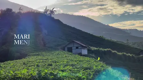 Jadi selanjutnya apa? #cinematic #aesthetic #fyp #mzidhan #sawah 