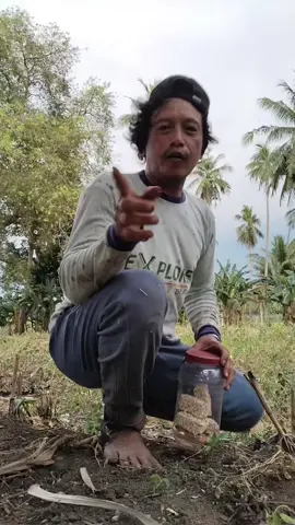 anak panas badannya ini pahjjappinna  #panas #di jappi