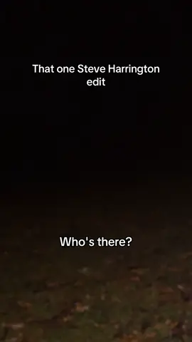 That one Steve Harrington edit #steveharrington #steveharringtonedit #strangerthings #strangerthingsedit 