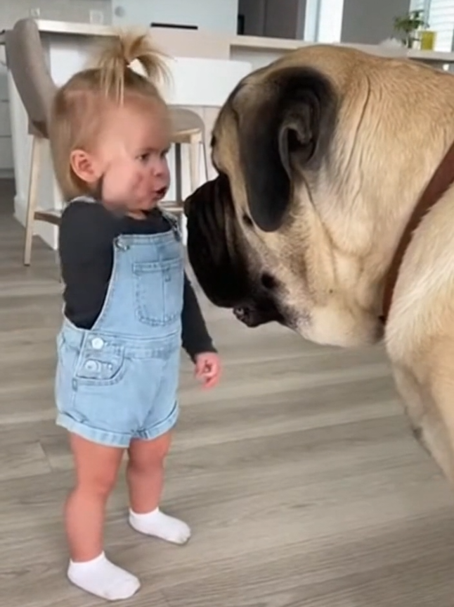 The Most Adorable Cracker Thief Interrogation Ever #SweetestConfrontation #PuppyEyes #BestFriends #CrackerGate #ToddlerLife 