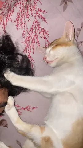 Aj kamayanga to kal khayenga #cat 🤣🤣🤣