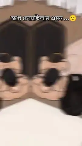 একটা ভুল সিদ্ধান্তই একটা জীবন শেষ করে দেয় #bdtiktokofficial #foryoupage #unfrezzmyaccount #fyp #foryou @TikTok Bangladesh @For You House ⍟ @tiktokofficialbangladesh 