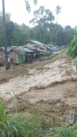 📍PURBABARU, MANDAILING NATAL, SUMATERA UTARA (pengambilan vidio jam 16.09, selasa 25 nov 2025) #banjir #purbabaru #madina 