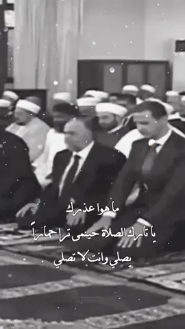 #ام_هتون🥹❤️‍ ماعزرك 