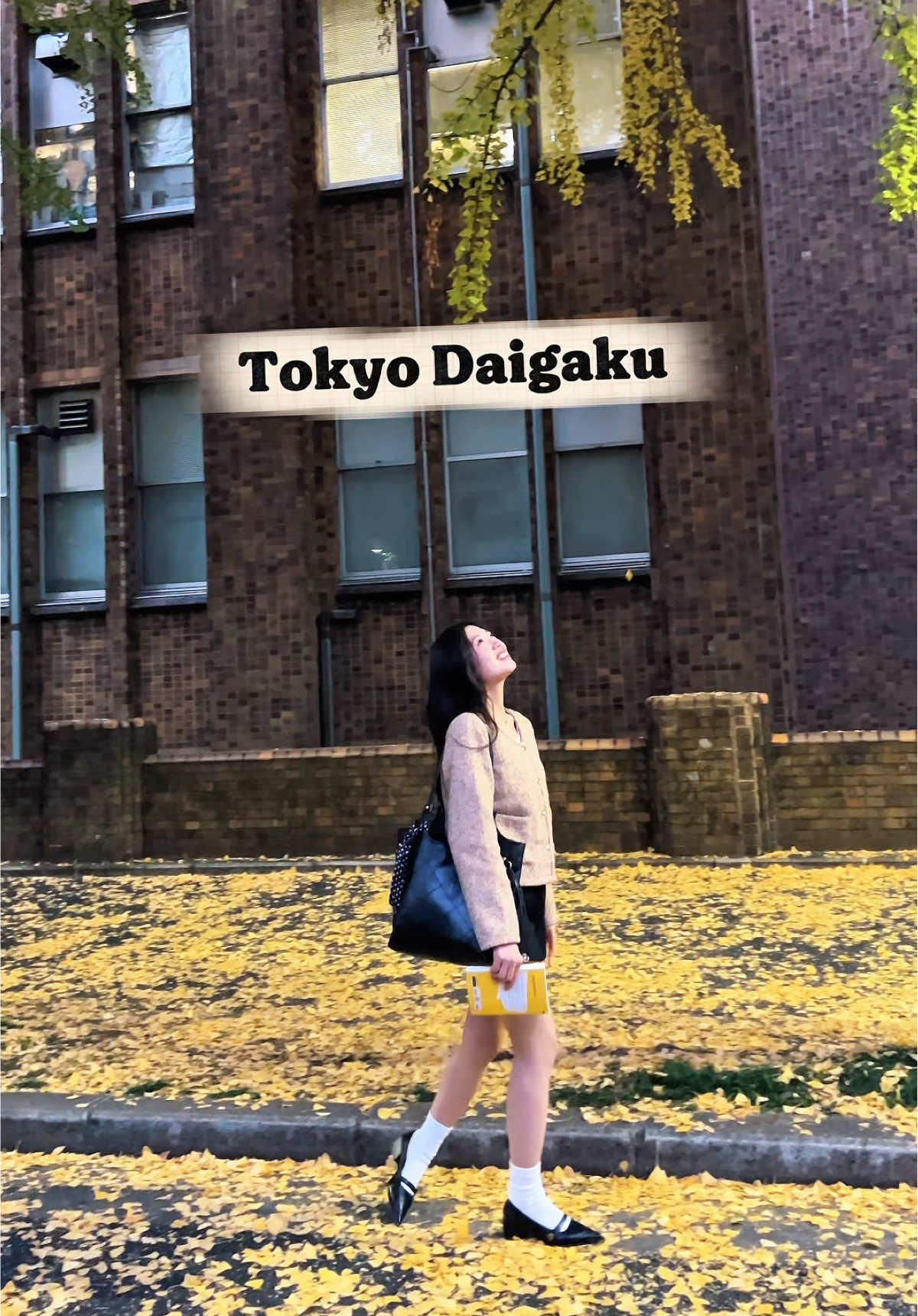 Đến muộn đôi khi cũng hay , không phải căn góc vì đông người . Thay vào đó là cảm nhận sự cổ kính của #tokyodaigaku #CapCut 