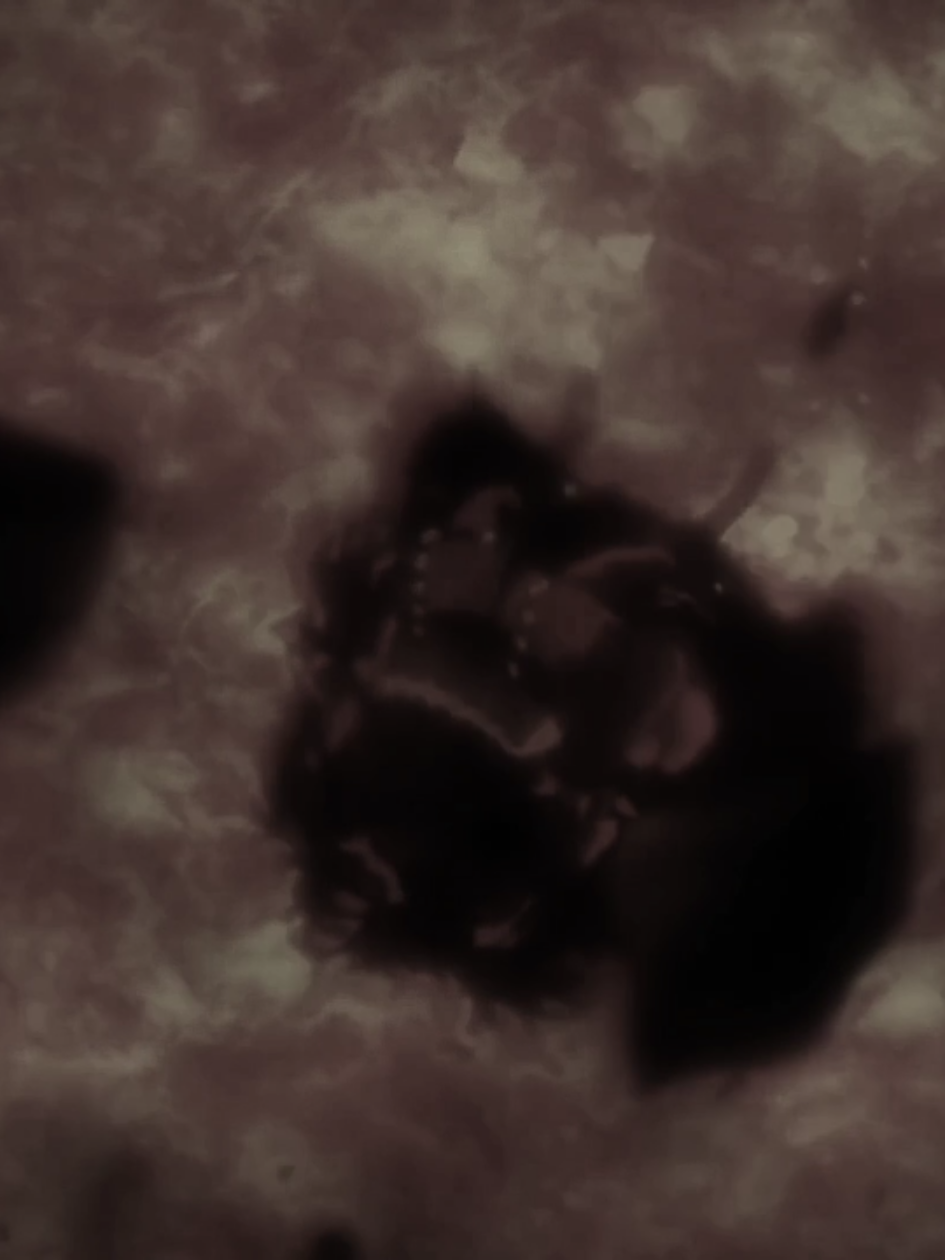 هانت هانت العشره 😔☝🏻. . #kaido #onepiece #animeedit #anime #edit #fyp #تيم_وينتر❄️ 