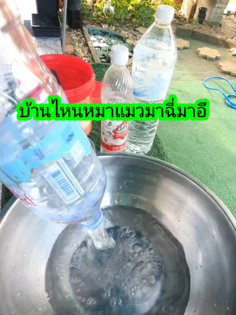 #เคล็ดลับแม่บ้าน #งานบ้านที่รัก #ของใช้ในบ้าน   #กลิ่นฉี่หมาแมว   #ของใช้ในครัวเรือน 