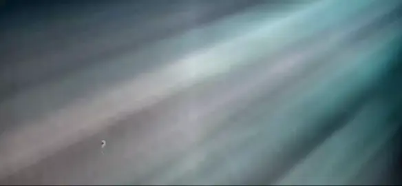 tội bip bip ._. #bopbop #lienquanmobile #xuhuongtiktok #tranbinh #lovuong 