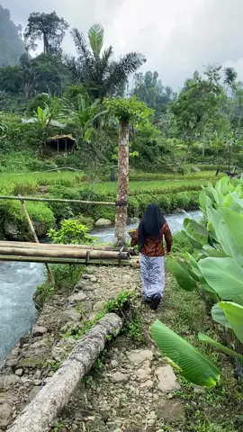 🍃🍃.. @Pelosok Desaku #sunda #tanahsunda #desa #nuansaalam #pelosokdesa 