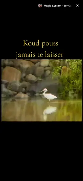 #zouklove #tiktokantillais #antillaisdefrance #caraibeenpeople #972🇲🇶 