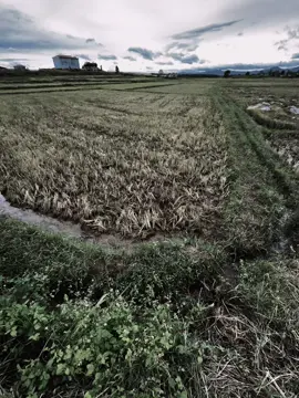 生活不总是美好的，要看到彩虹就必须接受. 
