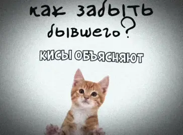 без тебя-ink street 101 #recommendations #viral #lyrics #shitpost #fupシ 