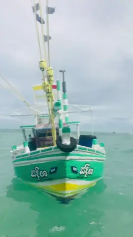 #තන්ගල්ලෙ__අපි #🦈🐬🐟🐳 #💙 