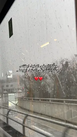 فداك الروح ❣️#foryoupage❤️❤️ #likе #الاب #explor 