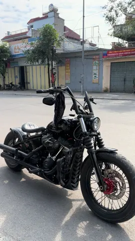 Đoàn này đi đám cưới thì hết bài #harleydavidson #bobber #motorcycle 