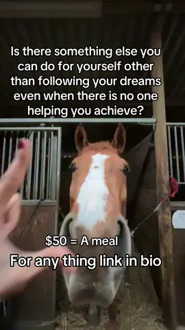 Is there something else you can do for yourself other than following your dreams even when there is no one helping you achieve?#goviral #fyp #viralvideos #support #donate 