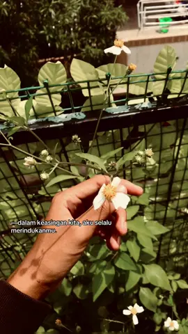 duh gmon lagi #fyp #4u #galaubrutal #gamonbrutal 