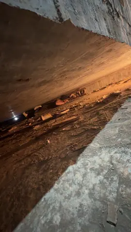 lão bản trả 3k bảo xong sớm về sớm ae ak🤣