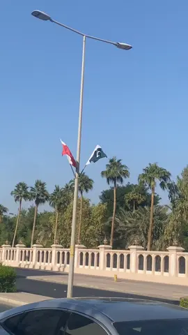 بحرین اور پاکستان—محبت کا رشتہ 🇧🇭🇵🇰#bahrain🇧🇭 #pakistanzindabad #haidergujjar 