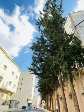 #foryou #tiktok #vairal 