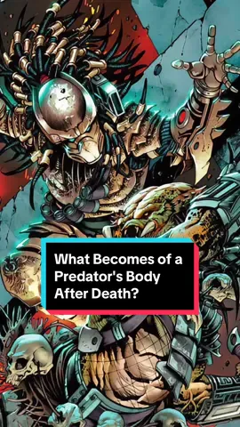 What Becomes of a Predator's Body After Death? #fyp #foryou #foryoupage #movie #predator  