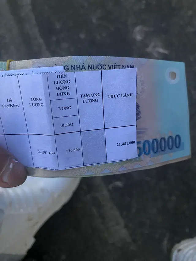 Công việc của e khiến người e ko đx thơm tho .lúc đi thì đợ lúc thì như trâu 🐃 lên sình 😆