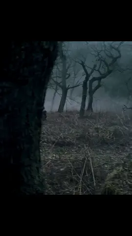 Best movies found on Internet #fyp #pov #dallatteampart63