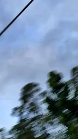 santet di sore hari#nekochan #fyp #alam 