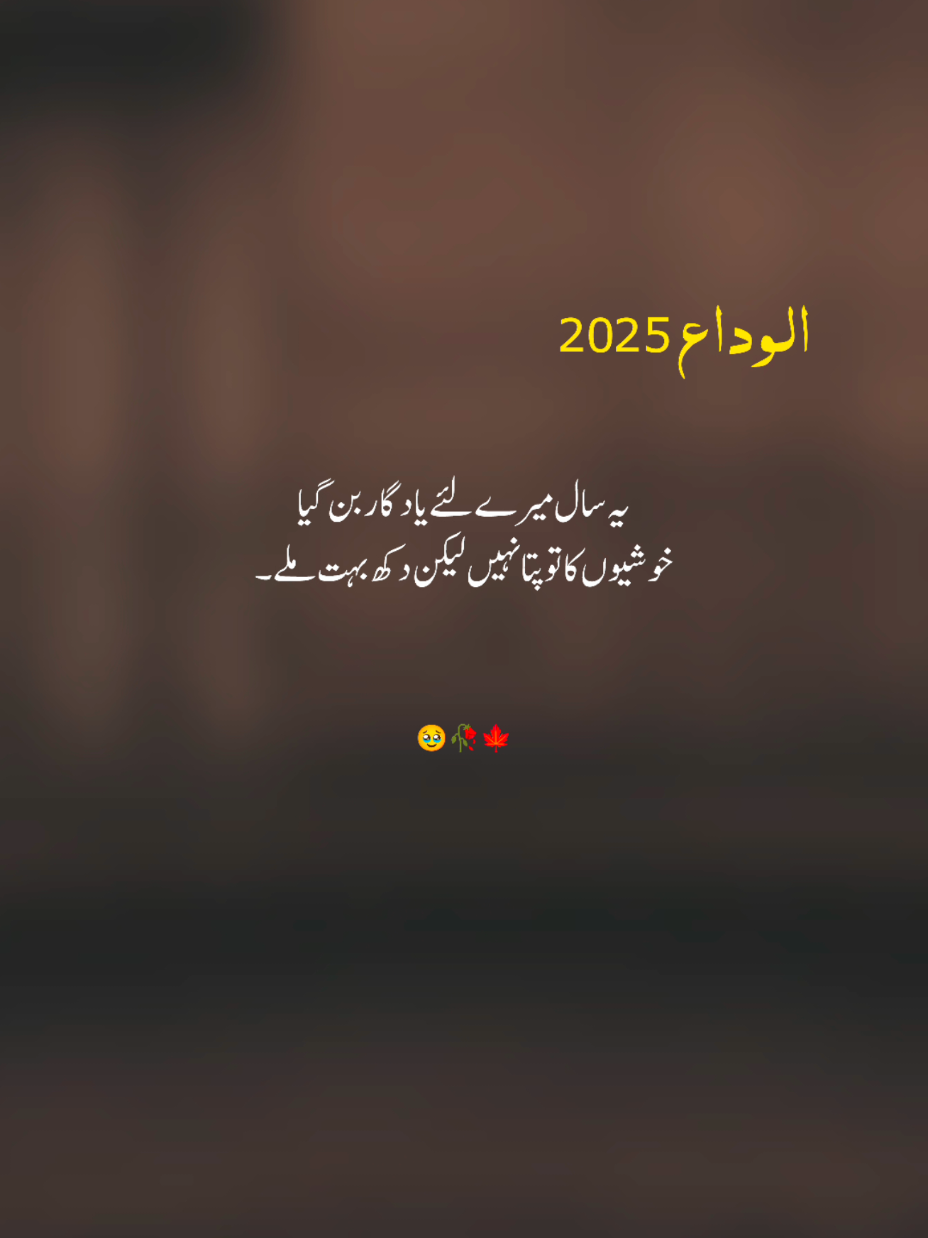 𝙃𝙖𝙥𝙥𝙞𝙣𝙚𝙨𝙨 𝙣𝙚𝙫𝙚𝙧 𝙛𝙤𝙪𝙣𝙙 𝙢𝙚🥹🥀💔 .. .. .. .. .. .. #Alvida2025 #Goodbye2025 #YearOfPain #2025Memories #NewYearNewHope 