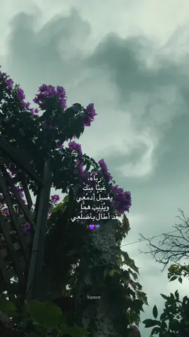 ربَّاهُ، غَيثًا مِنكَ يغسِلُ أدمُعِي ويُذِيب همَّا قَد أطالَ بأضلُعِي💜☔️.