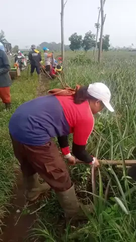 ngepost ulang@@mamaktun 