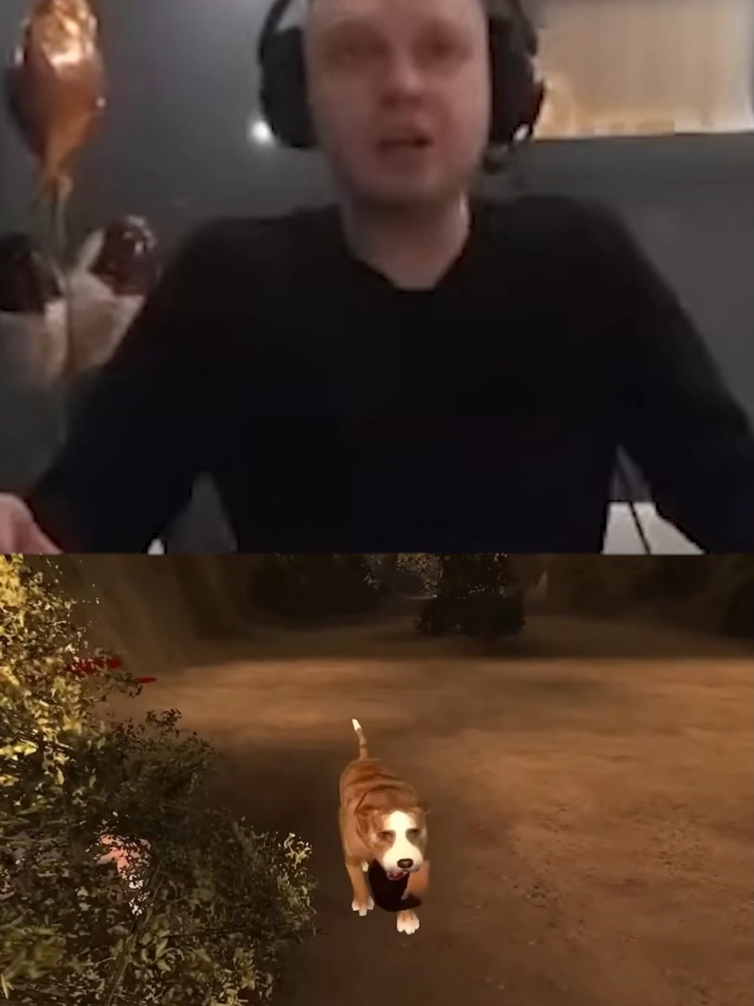 ПАПИЧ ИГРАЕТ В МЯЧ С ДОГЫЧЕМ#ПАПИЧ #папичлучшее #тренды #ИГРЫ