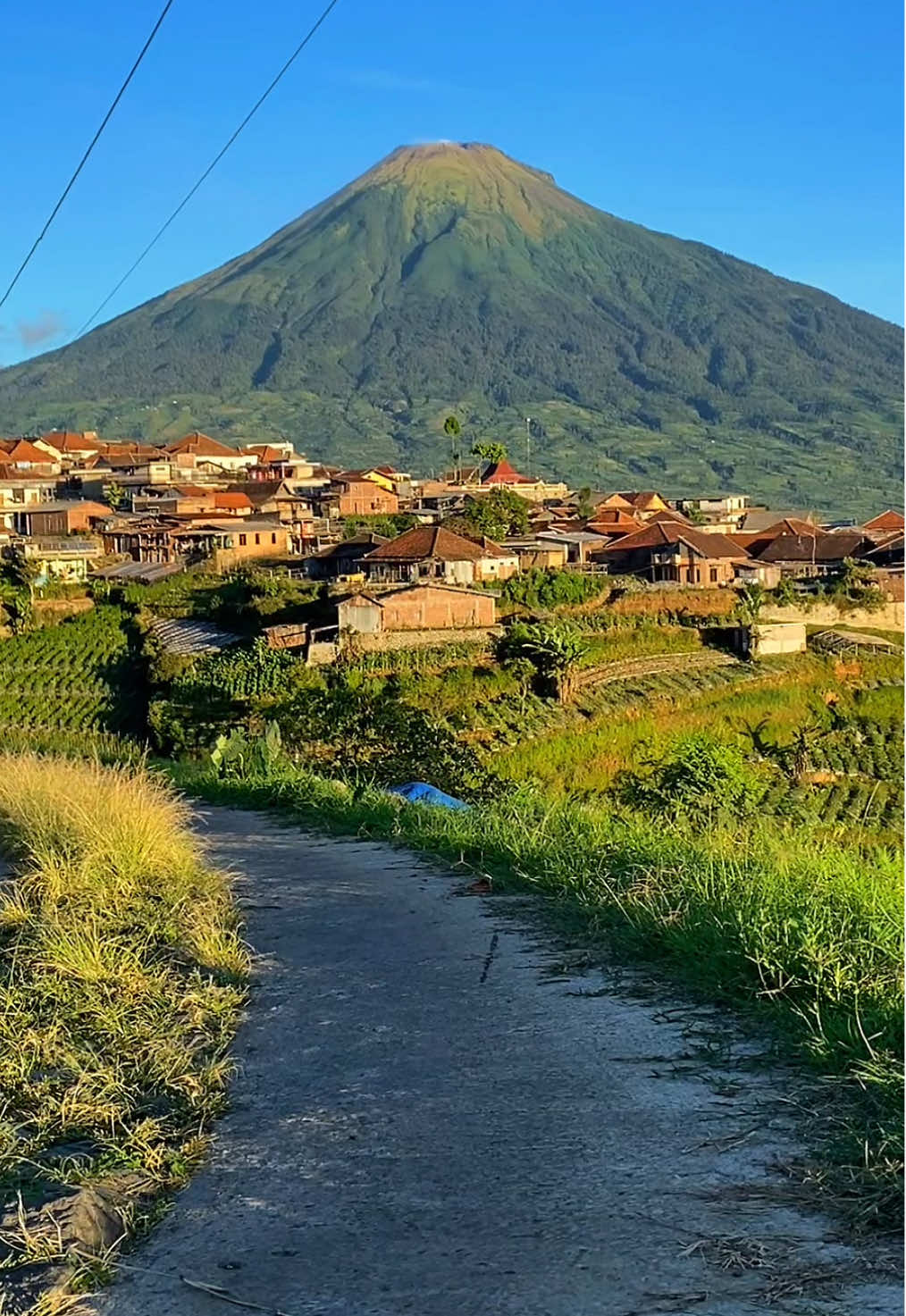 Ketika kamu tinggal di wonosobo 😍 #wonosobo #fyp 