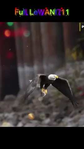 #🇵🇰🇵🇰🇵🇰🇵🇰🇵🇰❤️❤️❤️💯💯 